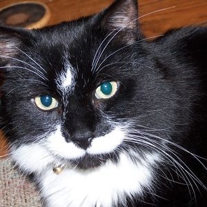 Meet your Posher, !cindy
